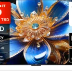 TCL T6D 138.71 cm (55 inch) QLED Ultra HD